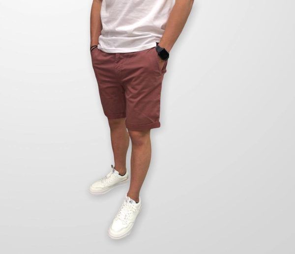 287133530 500579395155001 8780242354694706607 n